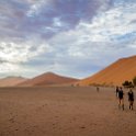 NAM HAR Dune45 2016NOV21 085 : 2016 - African Adventures, Hardap, Namibia, Southern, Africa, Dune 45, 2016, November